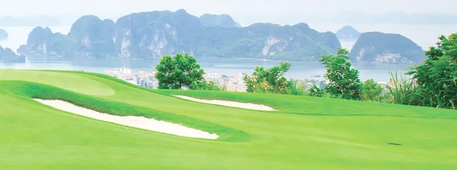 Đầu tư sân golf gắn với chiến lược kinh doanh FLC ảnh 2