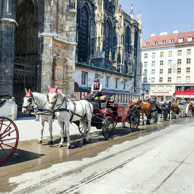 Vienna - viên ngọc sáng ảnh 2