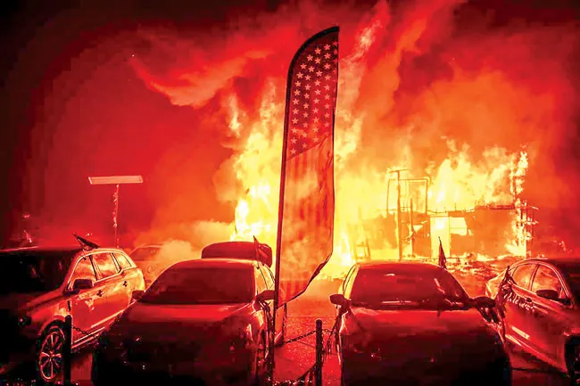 California đỏ lửa ảnh 1