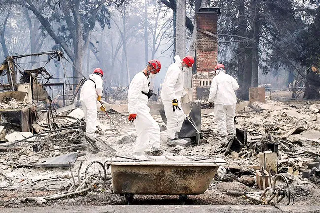 California đỏ lửa ảnh 2