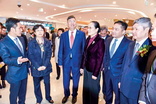 VIETNAM HUB - Thúc đẩy thương mại Việt Nam ra thế giới ảnh 1