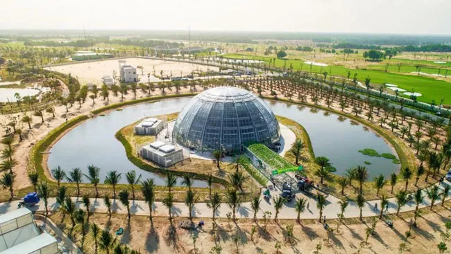 Đầu tư sản xuất nông sản sạch: Mỏ vàng không dễ khai thác ảnh 3