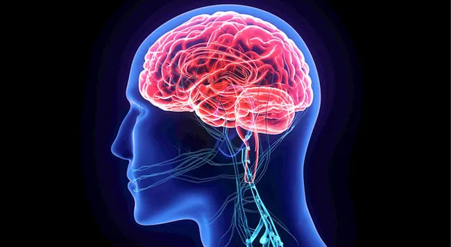 Tăng trưởng tế bào thần kinh mới giúp giảm ảnh hưởng bệnh Alzheimer