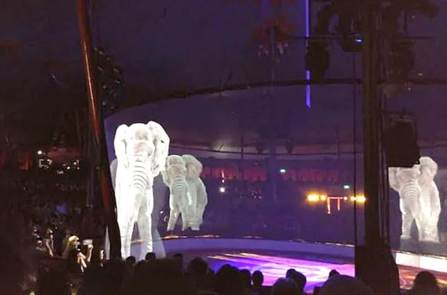 Đức: thay thế xiếc động vật bằng hình 3 chiều