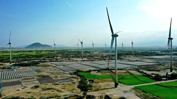 Phát triển điện gió: Quy mô chưa xứng với tiềm năng sẵn có