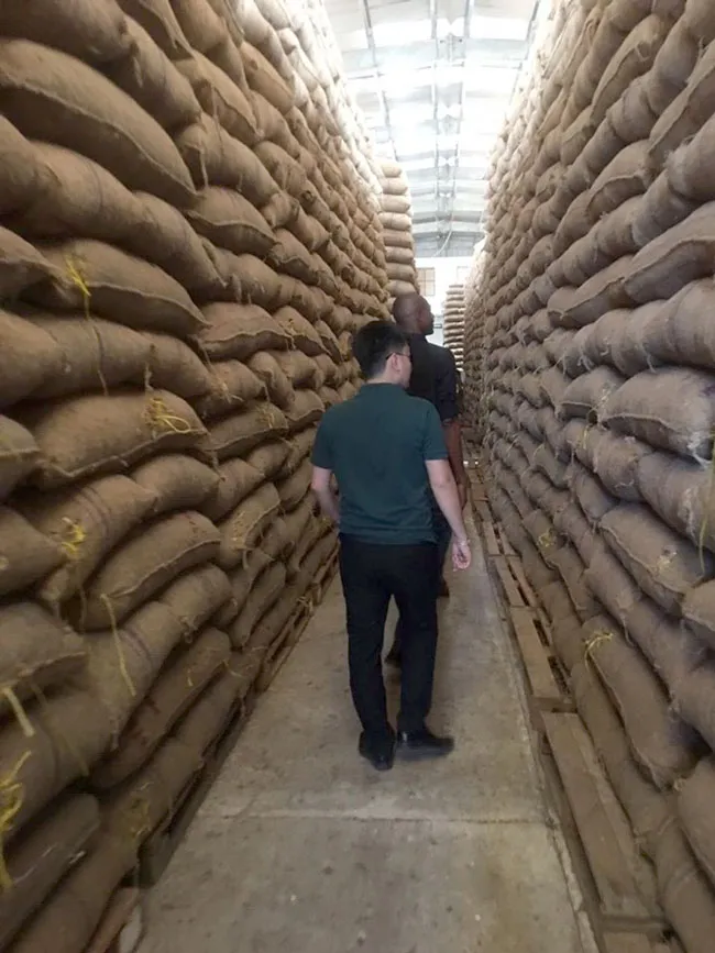 T&T Group ký hợp đồng mua hạt điều lớn nhất thế giới ảnh 3