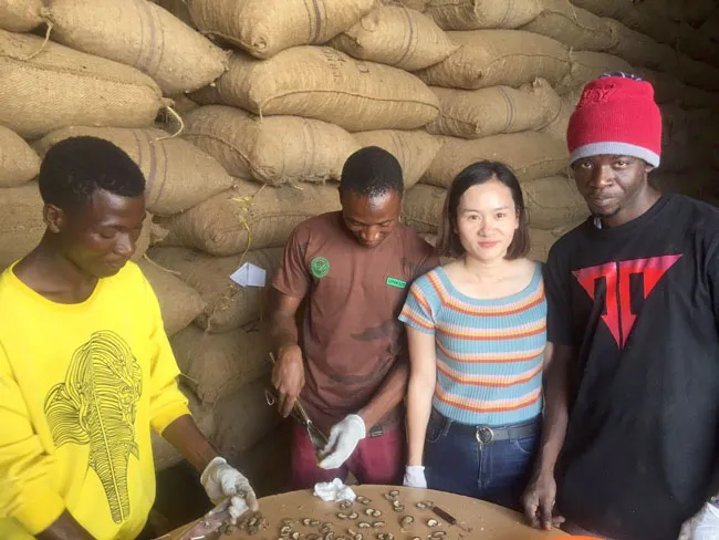 T&T Group ký hợp đồng mua hạt điều lớn nhất thế giới ảnh 2