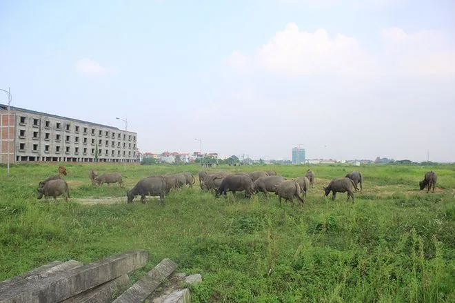 Không thu hồi thêm khi vẫn còn đất trống