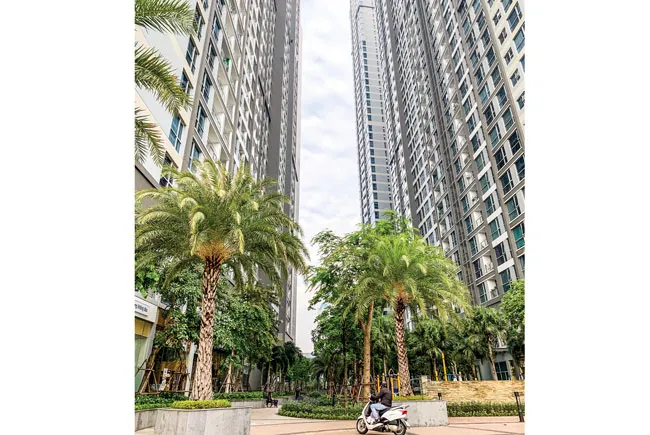 Nhu cầu về nhà ở diện tích nhỏ đối với người dân TPHCM rất lớn. Ảnh: M.TUẤN