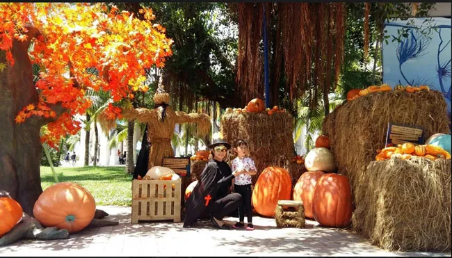 “Siêu bảo tàng” bí ngô Vinpearl mùa Halloween