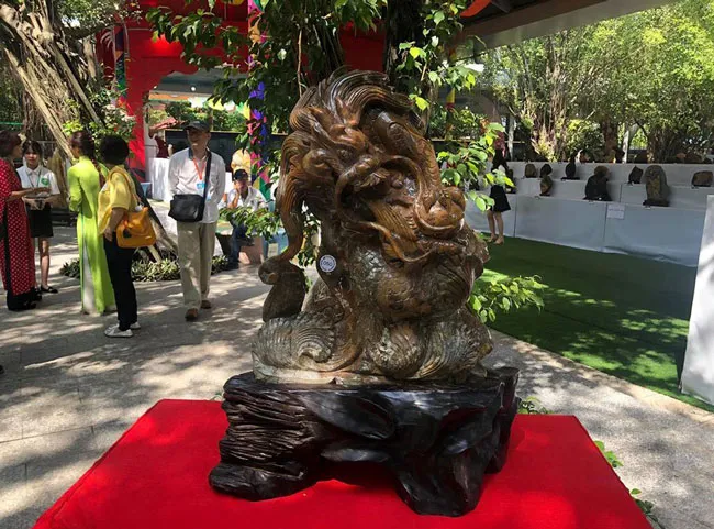 Chiêm ngưỡng nghệ thuật Bonsai và Suiseki ảnh 8