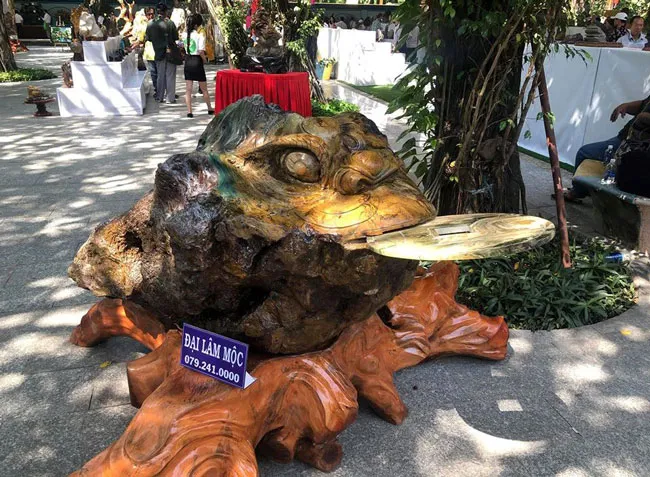 Chiêm ngưỡng nghệ thuật Bonsai và Suiseki ảnh 9