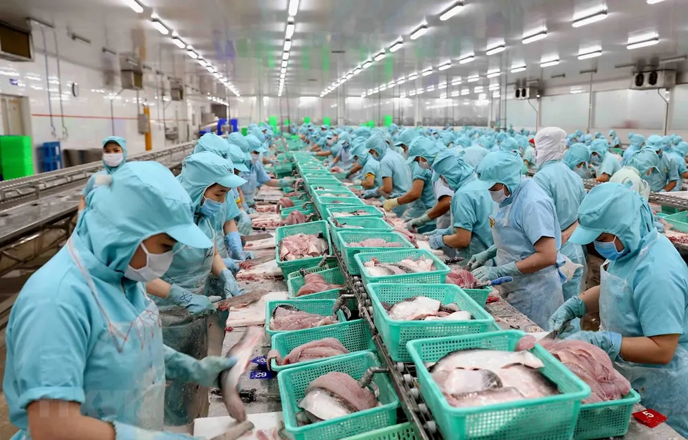 Dây chuyền chế biến philê cá tra xuất khẩu tại nhà máy của Công ty. (Ảnh: Vũ Sinh/TTXVN)