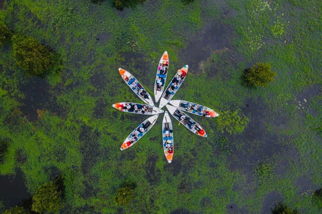 Bức họa Trà Sư ảnh 2