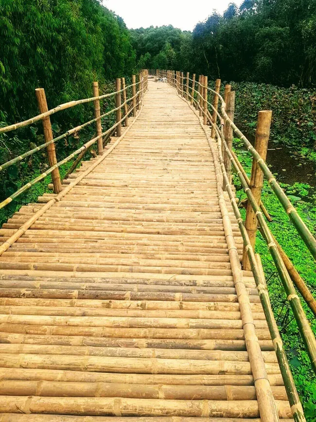 Bức họa Trà Sư ảnh 3