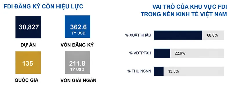 FDI cần tầm nhìn trung và dài hạn ảnh 1