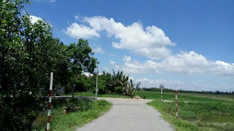 Điều chỉnh quy hoạch khu đất 384,2ha huyện Hóc Môn