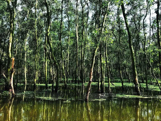 Sức khỏe là vốn liếng ảnh 3