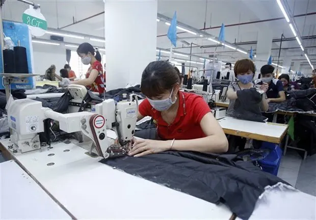 Tang cuong ho tro cac doanh nghiep bi anh huong boi dich COVID-19 hinh anh 2