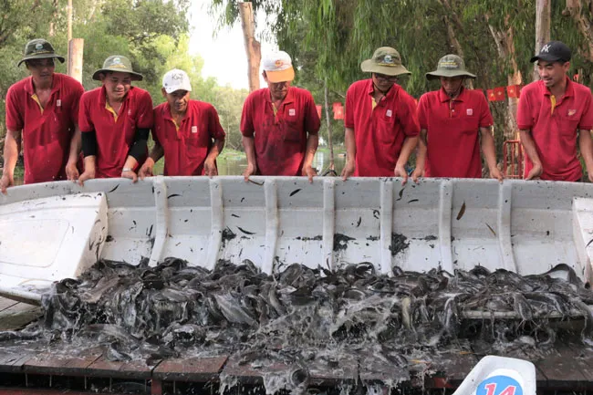 Thịnh vượng Trà Sư ngày trở lại ảnh 2