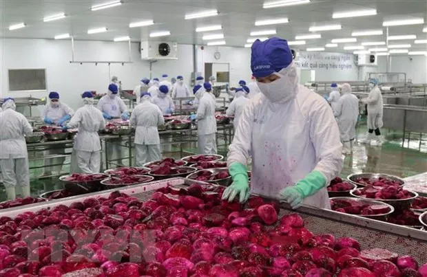 Hiep dinh EVFTA: Cu huych cho xuat khau cua Viet Nam hinh anh 2