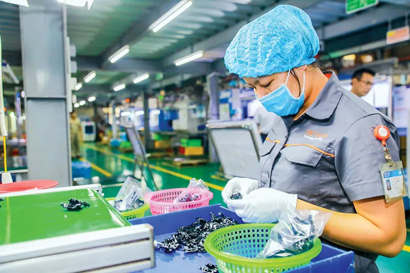 Cần bộ tiêu chí phân loại hỗ trợ ảnh 2