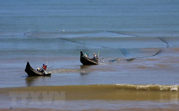 Viet Nam bao ve va phat trien nguon loi hai san vi mot dai duong xanh hinh anh 1