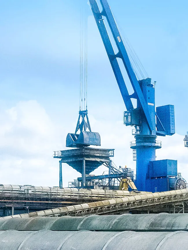 T&T Group vượt qua đại dịch với hàng loạt thương vụ đầu tư ảnh 1