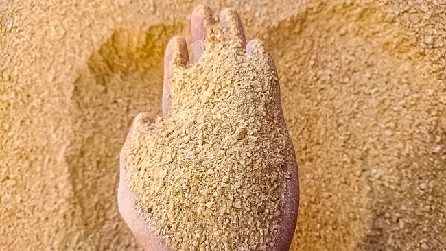 T&T Group vượt qua đại dịch với hàng loạt thương vụ đầu tư ảnh 2