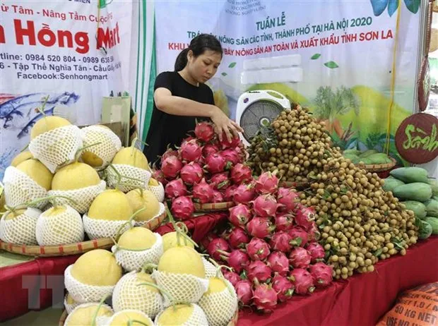 Hiep dinh EVFTA: Tan dung loi the tranh ap luc cho hang Viet hinh anh 1