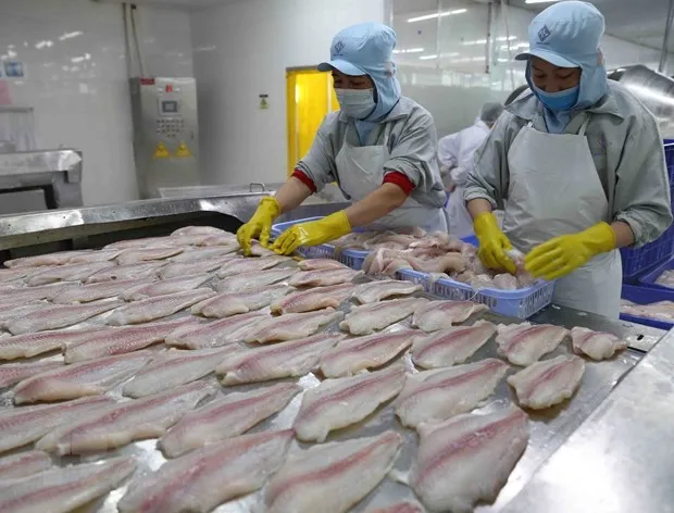 Tan dung co hoi tu EVFTA: Nhieu hang xuat khau chu luc huong loi hinh anh 2