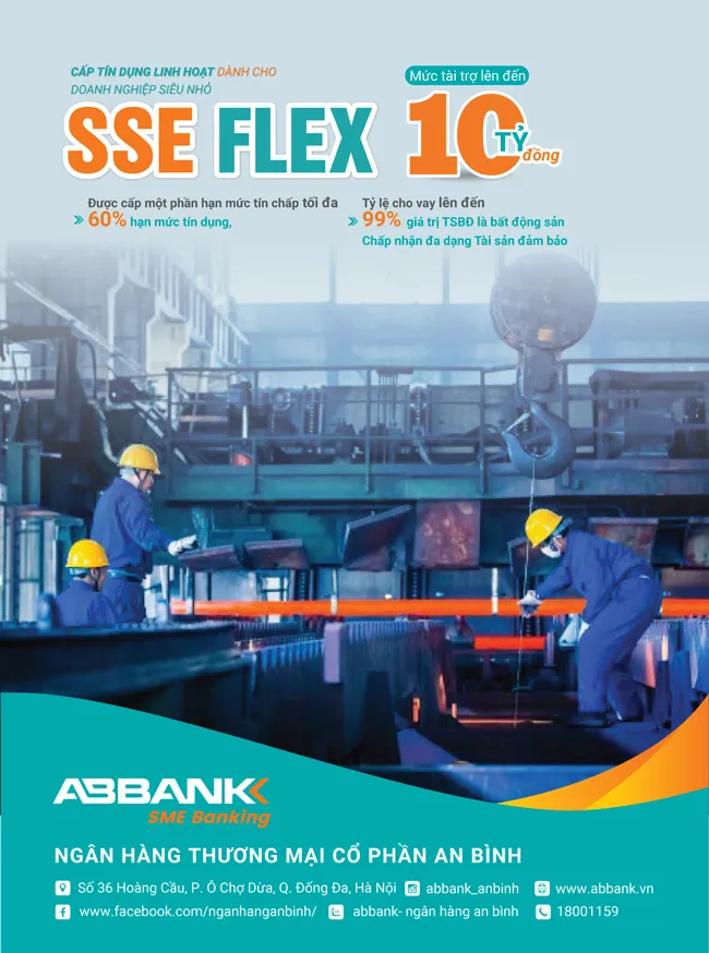 Doanh nghiệp SME và SSE thêm cơ hội vay vốn ảnh 2