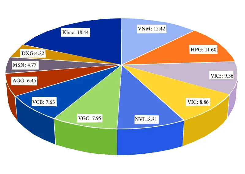 Tháng 8: Vốn ngoại rút ròng mạnh có đáng ngại? ảnh 1