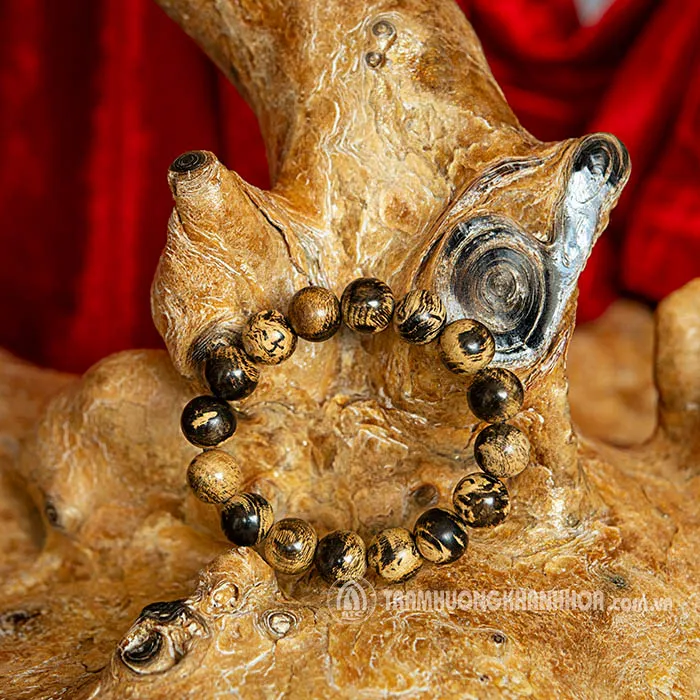  “Việt Nam - Quốc gia trầm hương” kết nối với thế giới ảnh 1