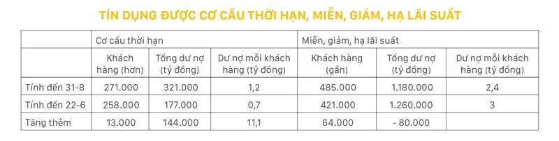 Nợ xấu đang núp bóng “tái cơ cấu” ảnh 2