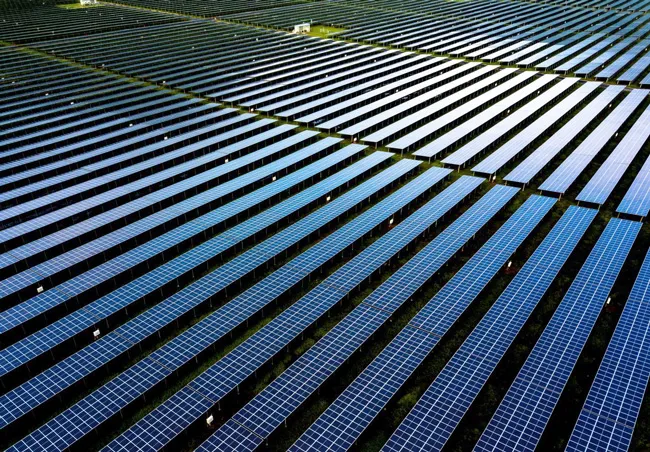 Khát vọng “Sếu đầu đàn” năng lượng tái tạo ảnh 1