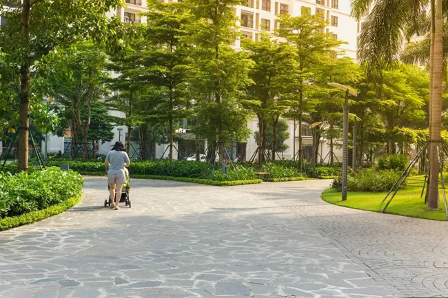 Mảng xanh ấn tượng tại khu vực "tấc đất tấc vàng" quận 1 ảnh 1