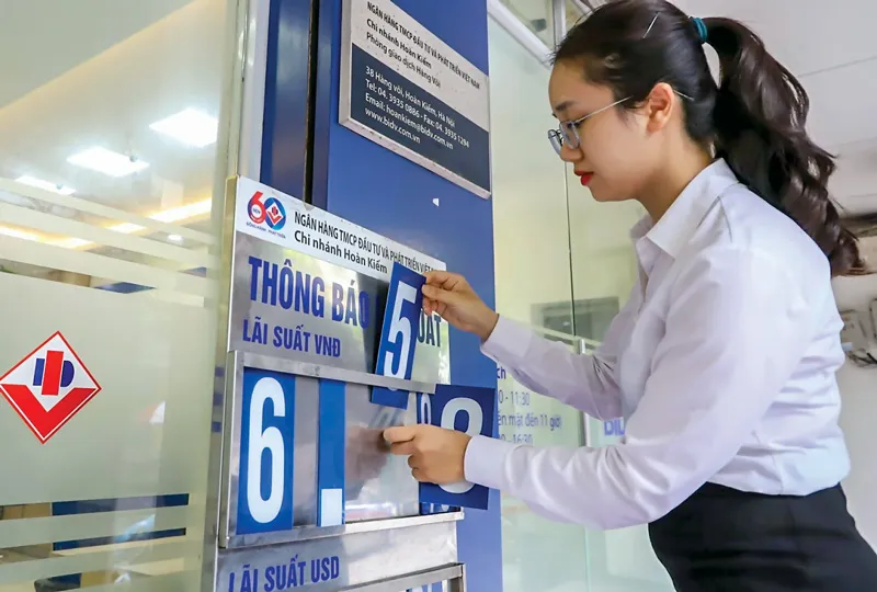 Thành lập tổ hợp tín dụng cứu doanh nghiệp ảnh 2