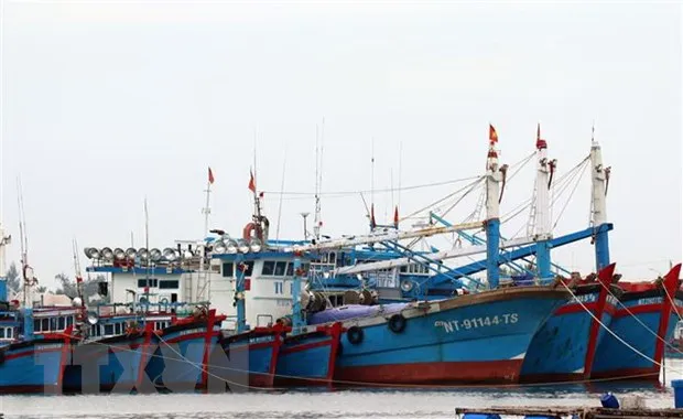 Da Nang khuyen cao nguoi dan khong ra khoi nha tu 20 gio ngay 27/10 hinh anh 2