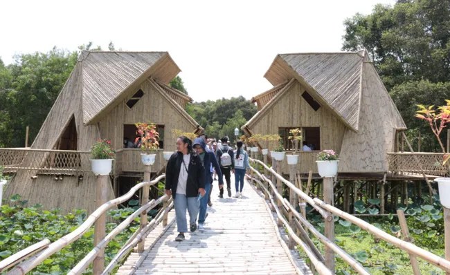 Cùng Thủy Tinh dạo quanh thủ phủ tràm ảnh 1