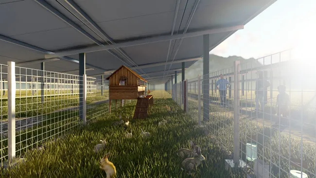 Hơn thế nữa cho giá trị vững bền ảnh 2