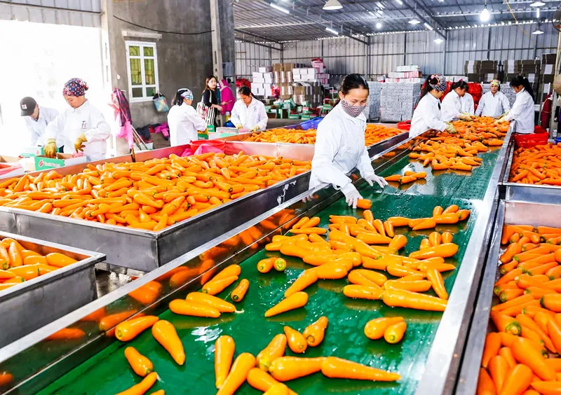 We expect growth in agricultural exports, but it is difficult for this commodity to compete with China.