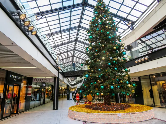 Hoa sẽ nở muộn ở châu Âu ảnh 3