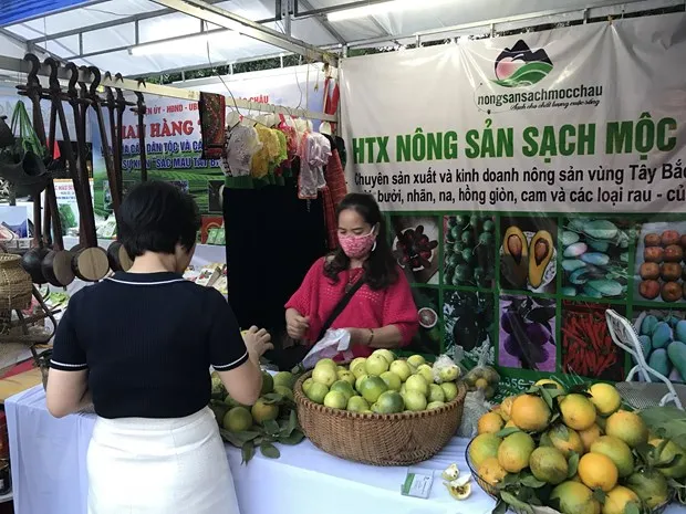 Hon 1 trieu phien giao thuong truc tuyen duoc thuc hien nam 2020 hinh anh 2