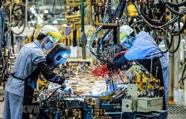 Ảnh minh họa. (Ảnh: Danh Lam/TTXVN)