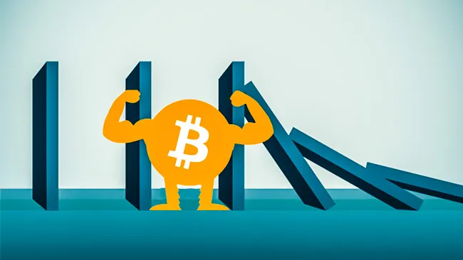 Bitcoin: Vàng số hay tulip? ảnh 2