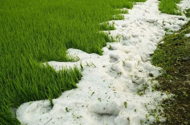 Thoi tiet nam 2021: Ret dam keo dai, xay ra mua trai mua va kho han hinh anh 2