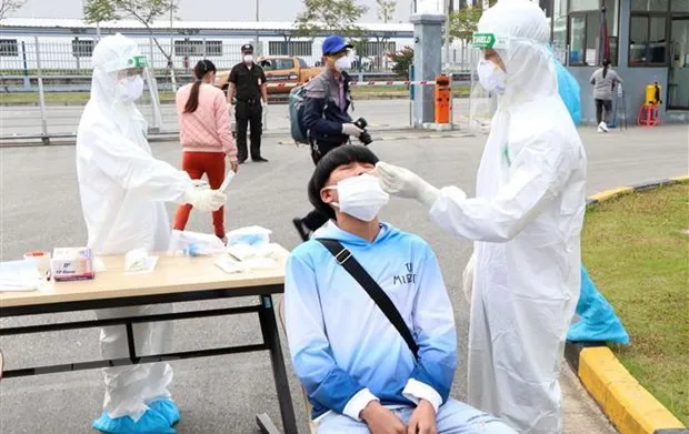 Lấy mẫu xét nghiệm COVID-19. (Ảnh: Mạnh Tú/TTXVN)