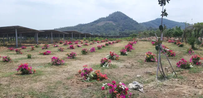 Khẩu vị mới cho du lịch Việt Nam ảnh 1