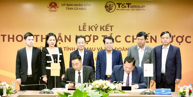 T&T Group ký kết đầu tư nhiều dự án lớn tại Lào Cai và Cà Mau ảnh 1